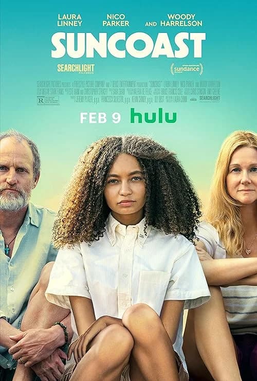 Suncoast film posteri